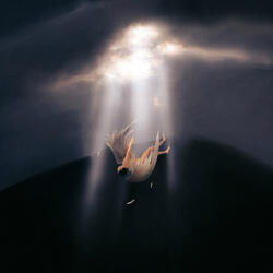The Angel Has Fallen
