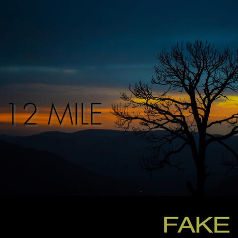 Fake