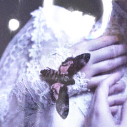 dream florescence