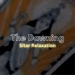 Sitar Relaxation