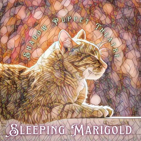 Sleeping Marigold