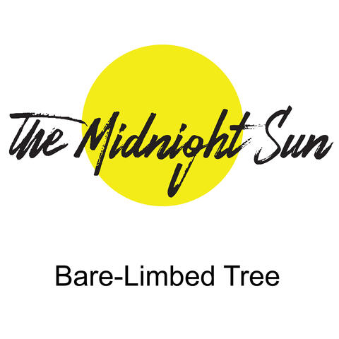 Bare-Limbed Tree