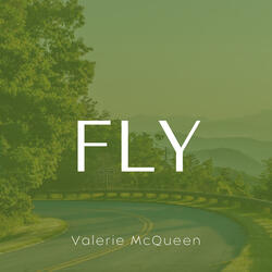 Fly