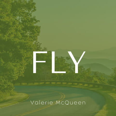 Fly