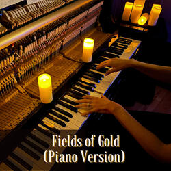 Fields of Gold (Piano Version)