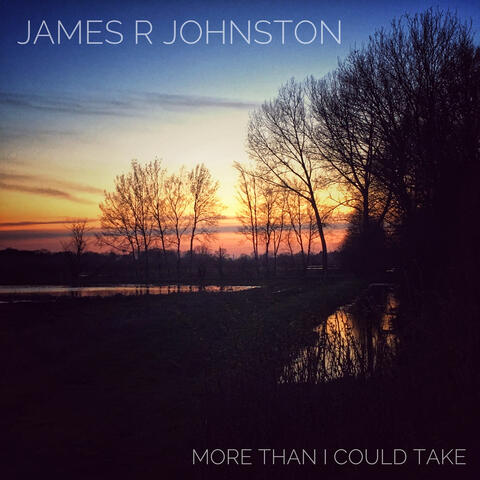 More Than I Could Take