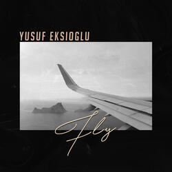 Fly