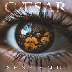 Descendi