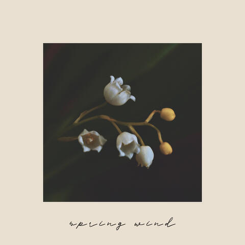 Spring Wind