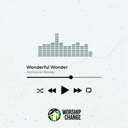 Wonderful Wonder