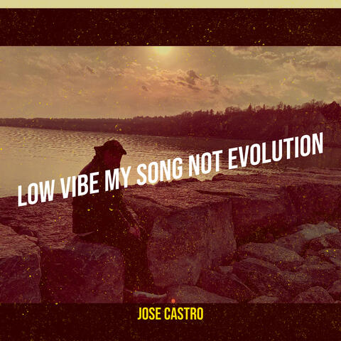 Low Vibe My Song Not Evolution
