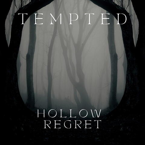 Hollow Regret