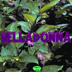 Belladonna
