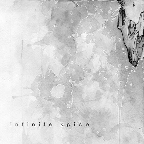 Infinite Spice