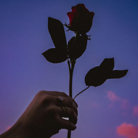 For You