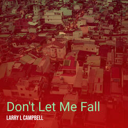 Don't Let Me Fall