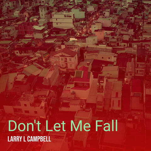 Don't Let Me Fall