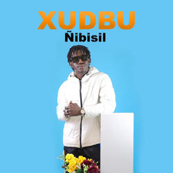 Ñibisil