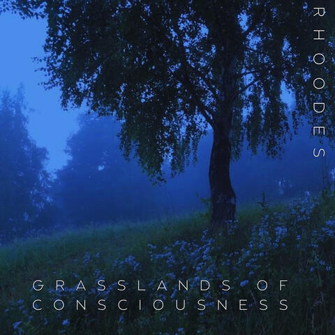 Grasslands of Consciousness