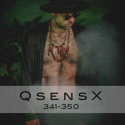 QsensX, Pt. 343