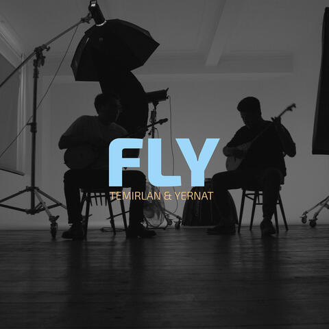 Fly