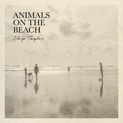 Animals on the Beach