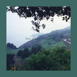 Face of Love / Closure