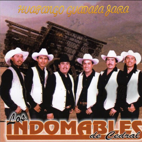 Huapango Guadalajara