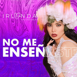 No Me Enseñaste