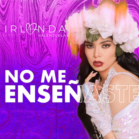 No Me Enseñaste