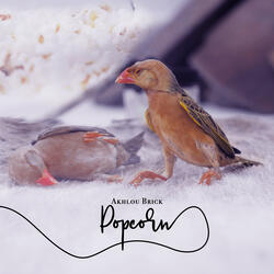 Popcorn