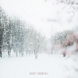 Short Snowfall