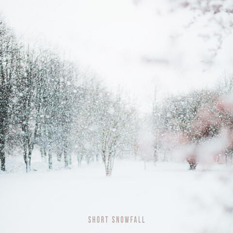 Short Snowfall