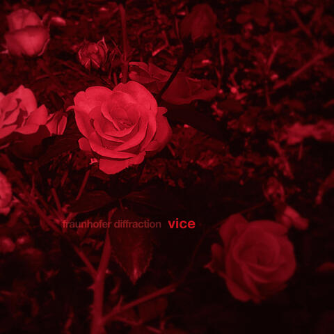 Vice