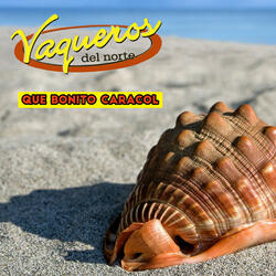 Que Bonito Caracol (En Vivo)