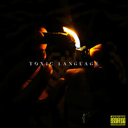 Toxic Language