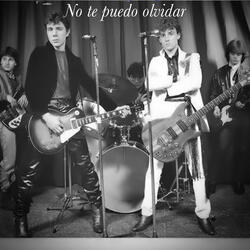 No Te Puedo Olvidar