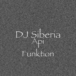 Api Funktion