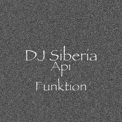 Api Funktion