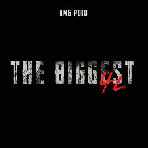 The Biggest 4l