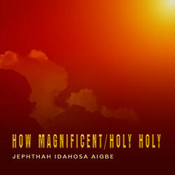How Magnificent/Holy Holy