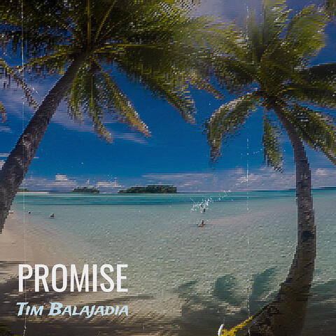 Promise