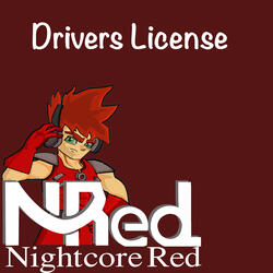Drivers License