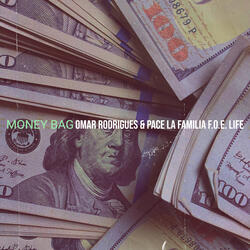 Money Bag