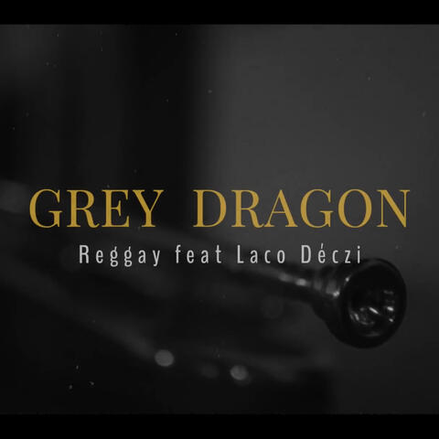 Grey Dragon