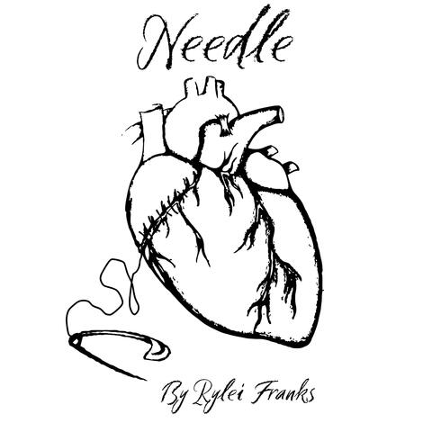 Needle