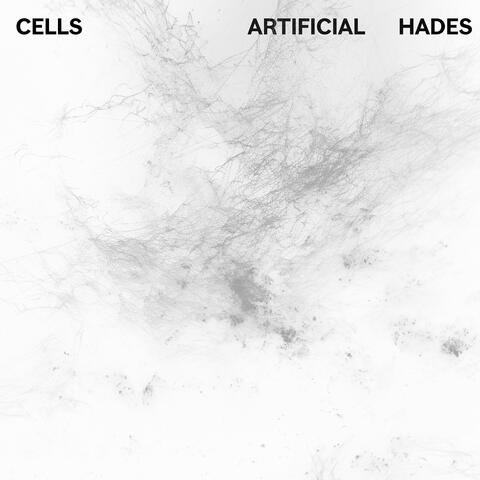 Cells