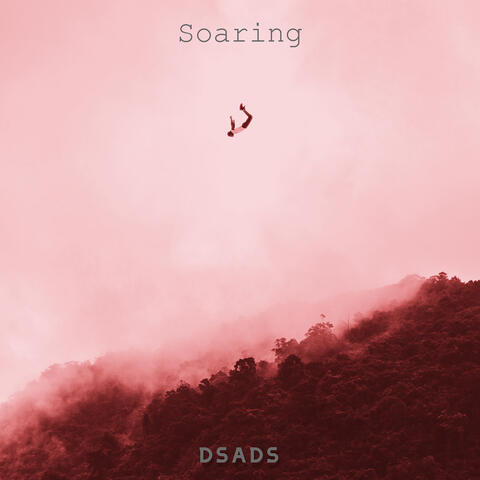 Soaring