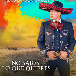 No Sabes Lo Que Quieres