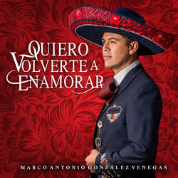 Quiero Volverte a Enamorar